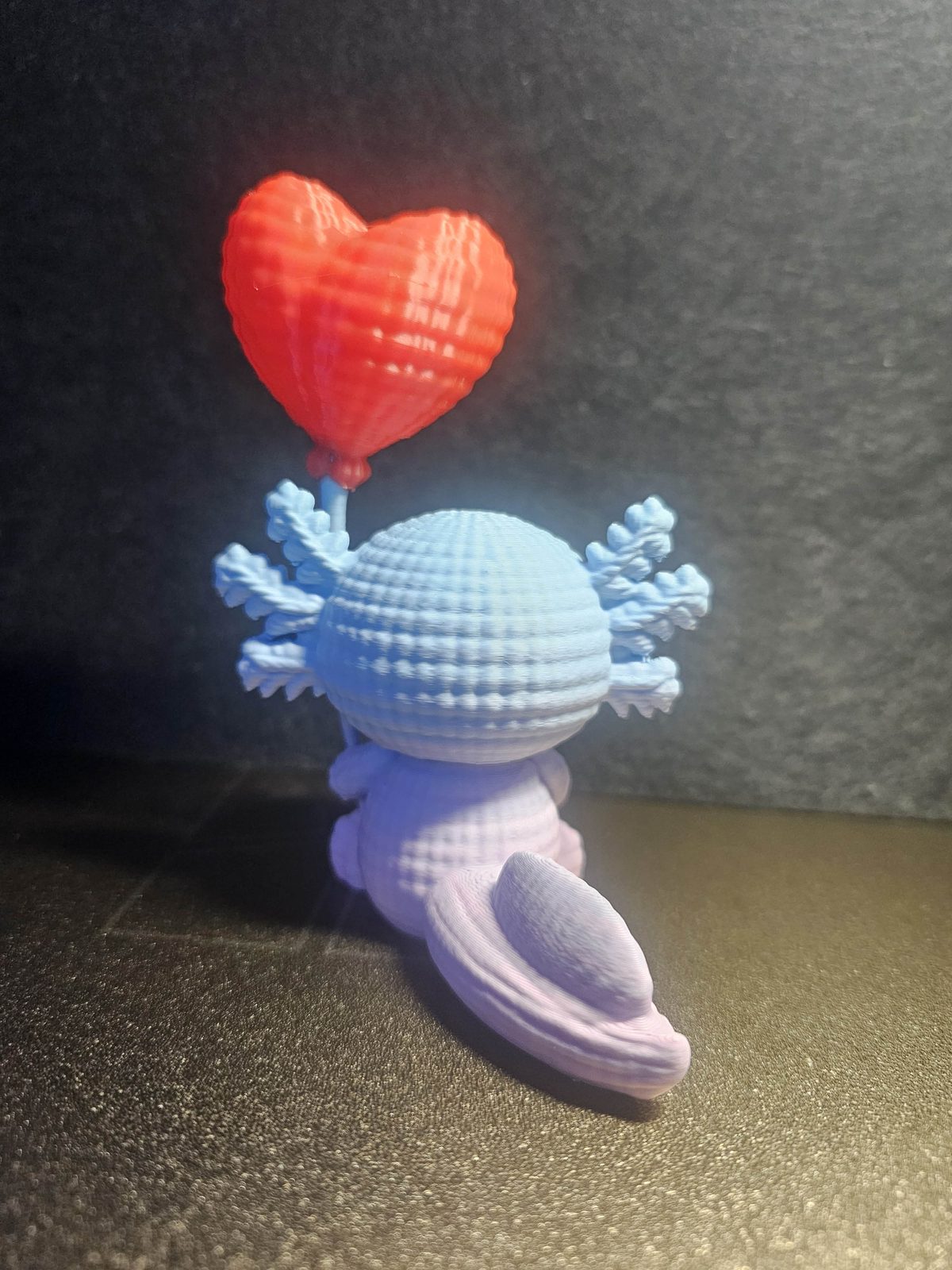 #1 Axolotl — vue 5
