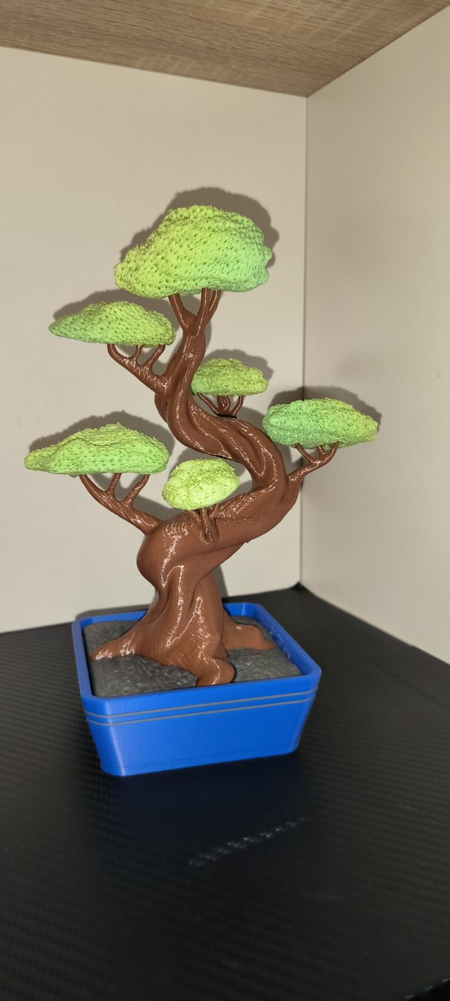 #1 Twisted Bonsai by Grafit — vue 3