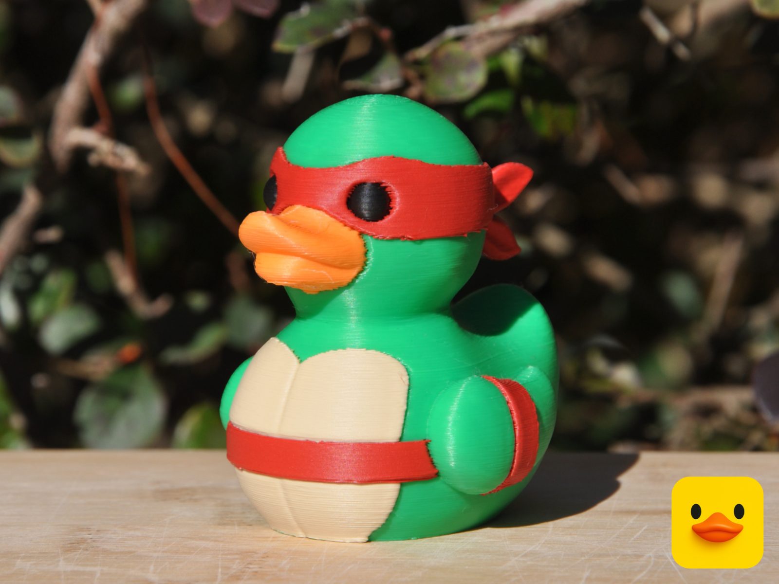 #6 Teenage Mutant Ninja Turtle Duck — vue 3