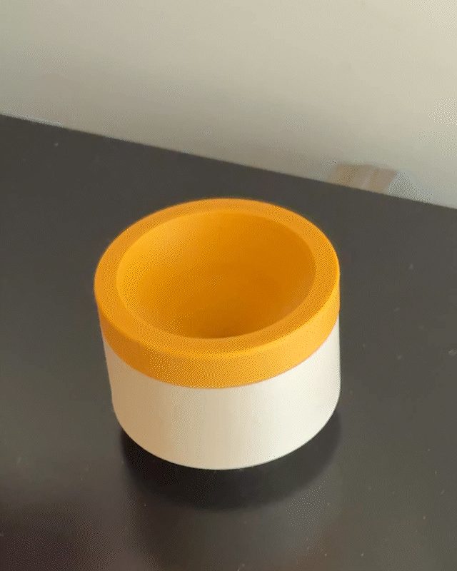 #10 Aesthetic Fruit Fly Trap — vue 1