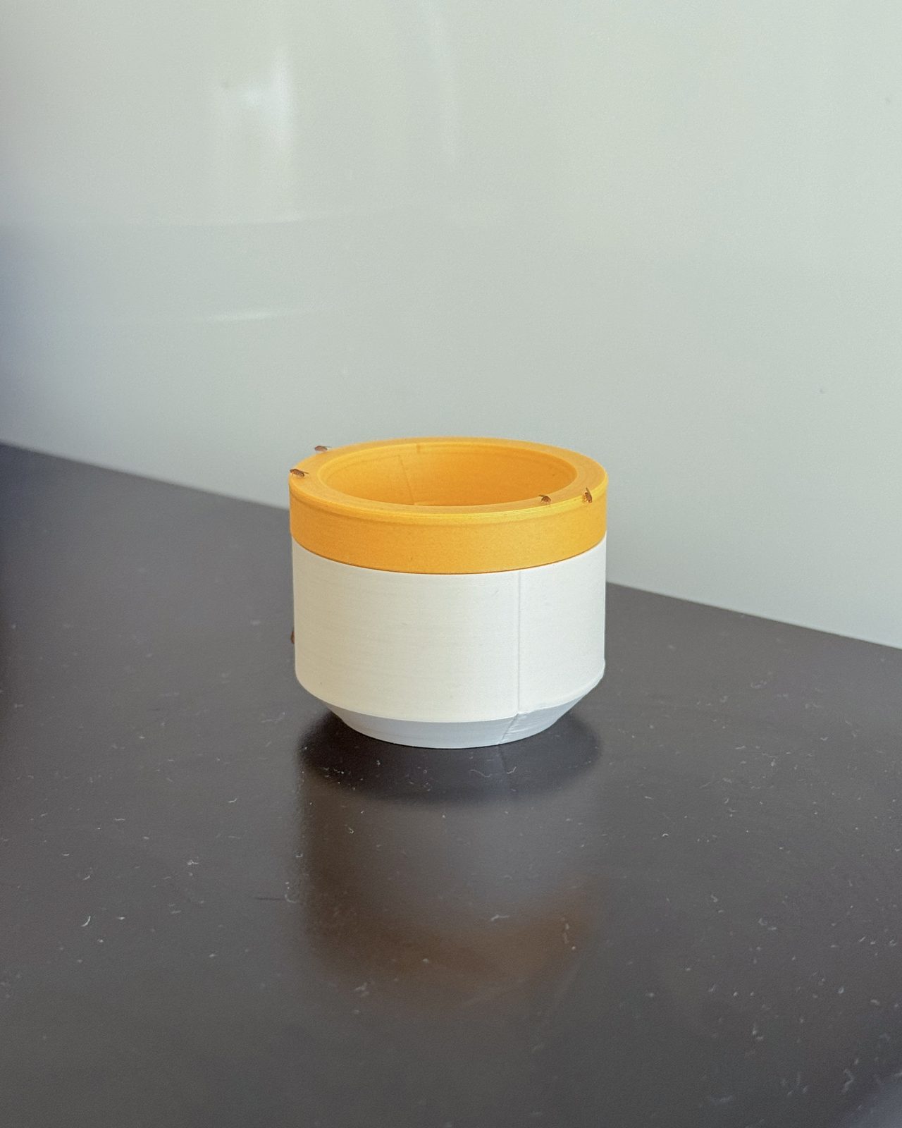 #10 Aesthetic Fruit Fly Trap — vue 8