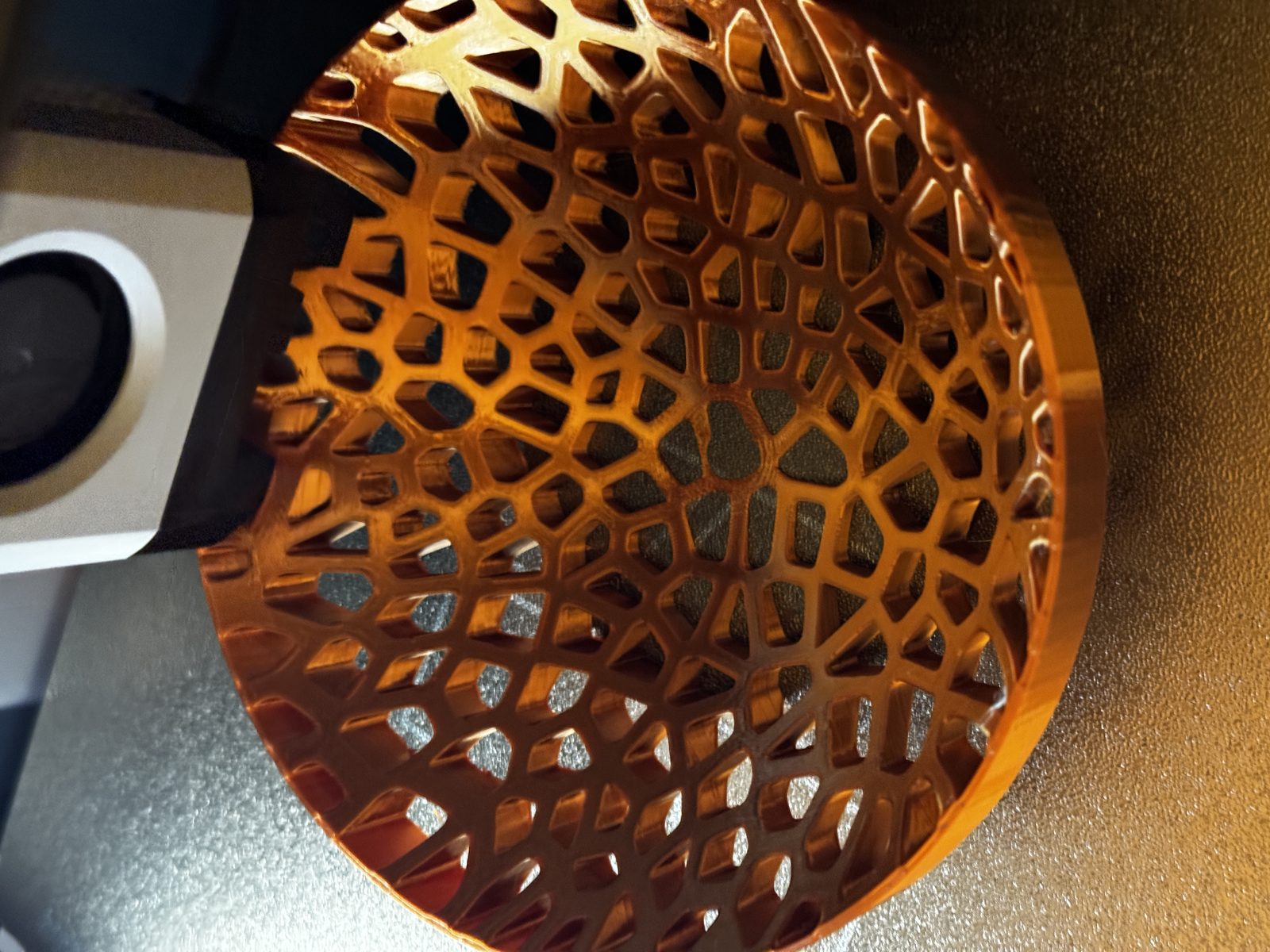 #14 Voronoi Bowl — vue 8