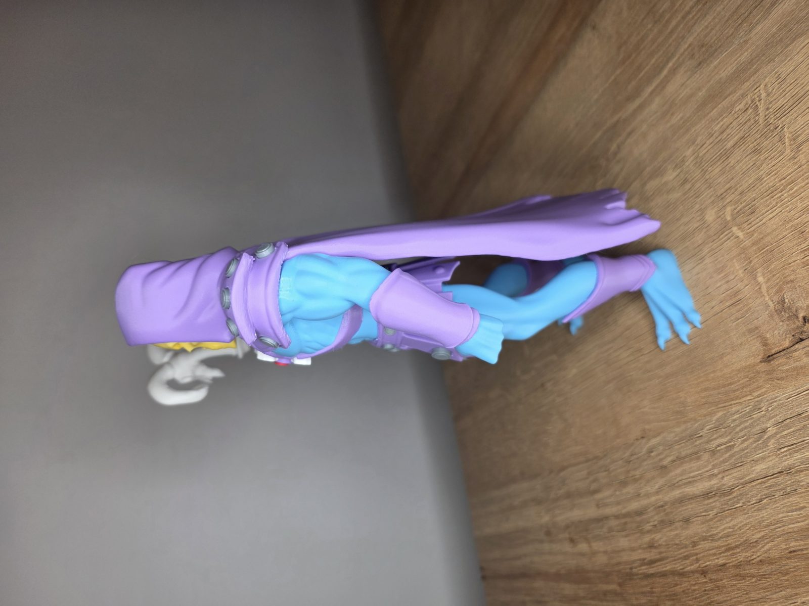 #17 MOTU Skeletor — vue 5
