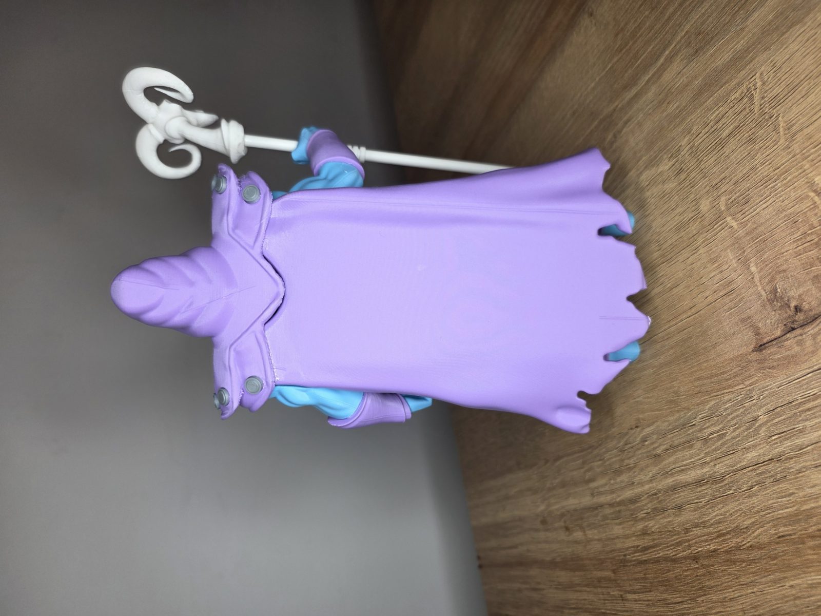 #17 MOTU Skeletor — vue 6