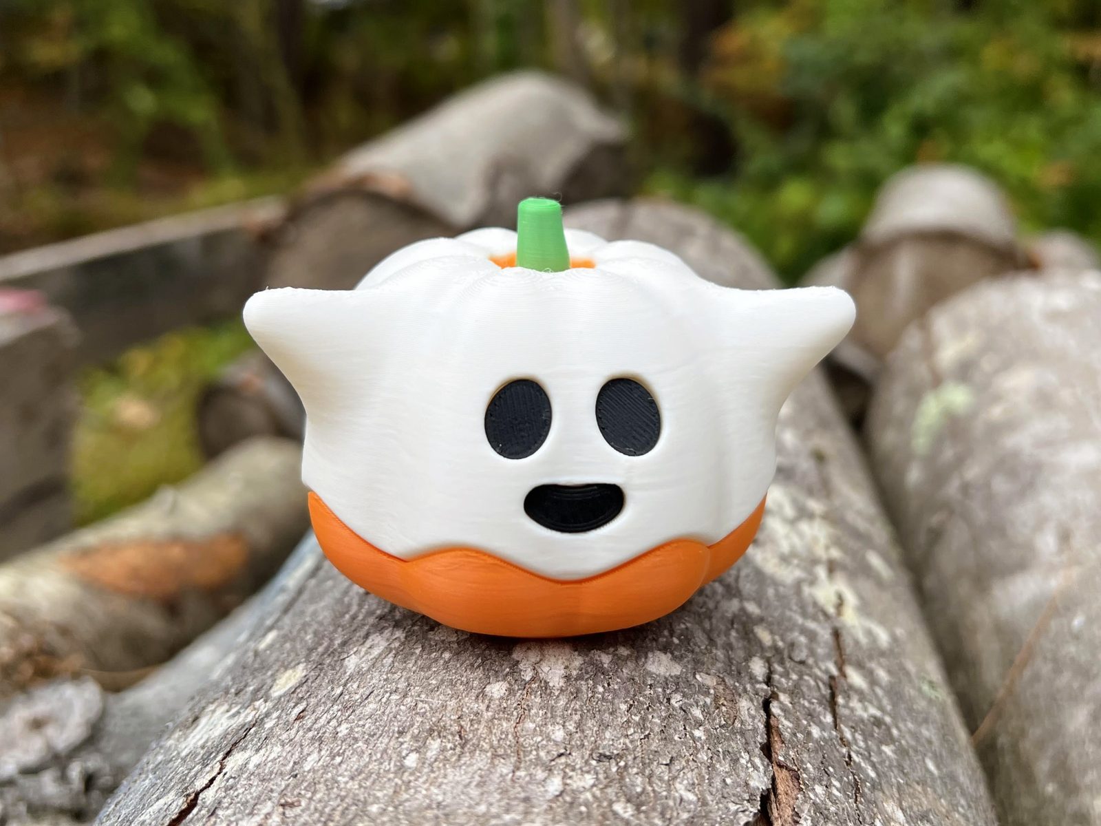 #20 Ghost Pumpkin — vue 8