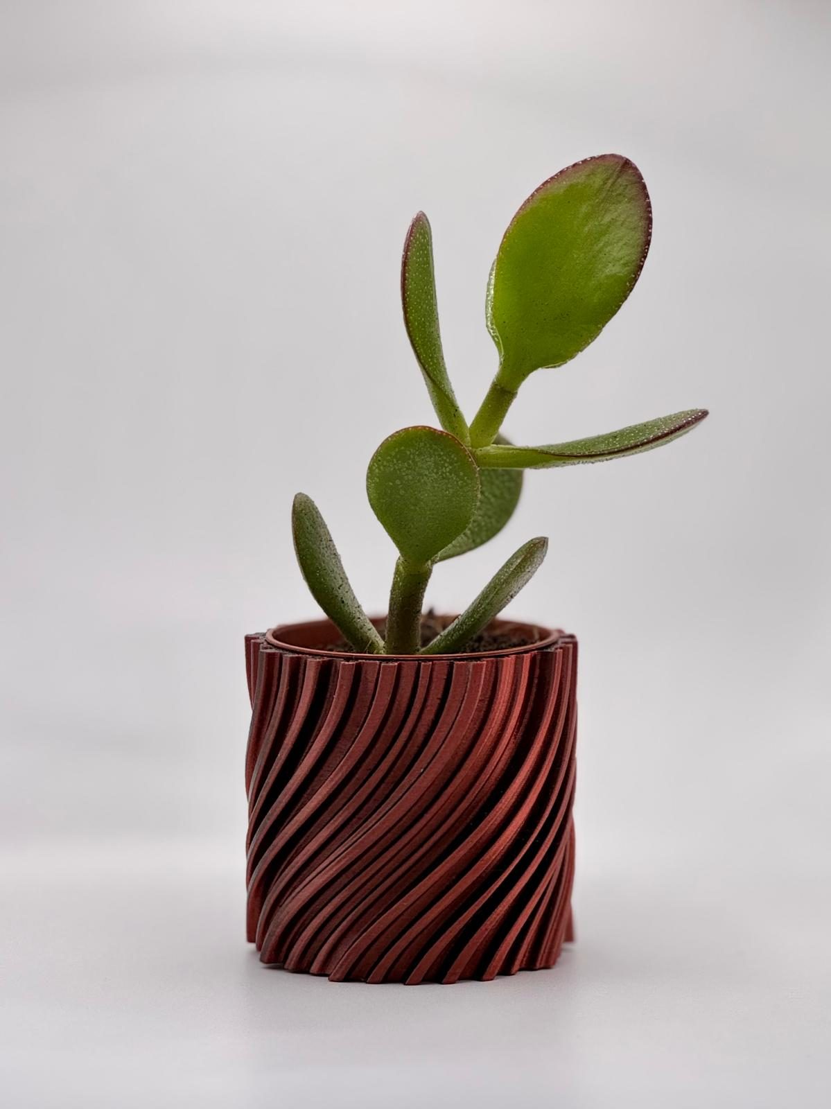 #21 Plant Pot Planter Wavy 2 twisted — vue 9