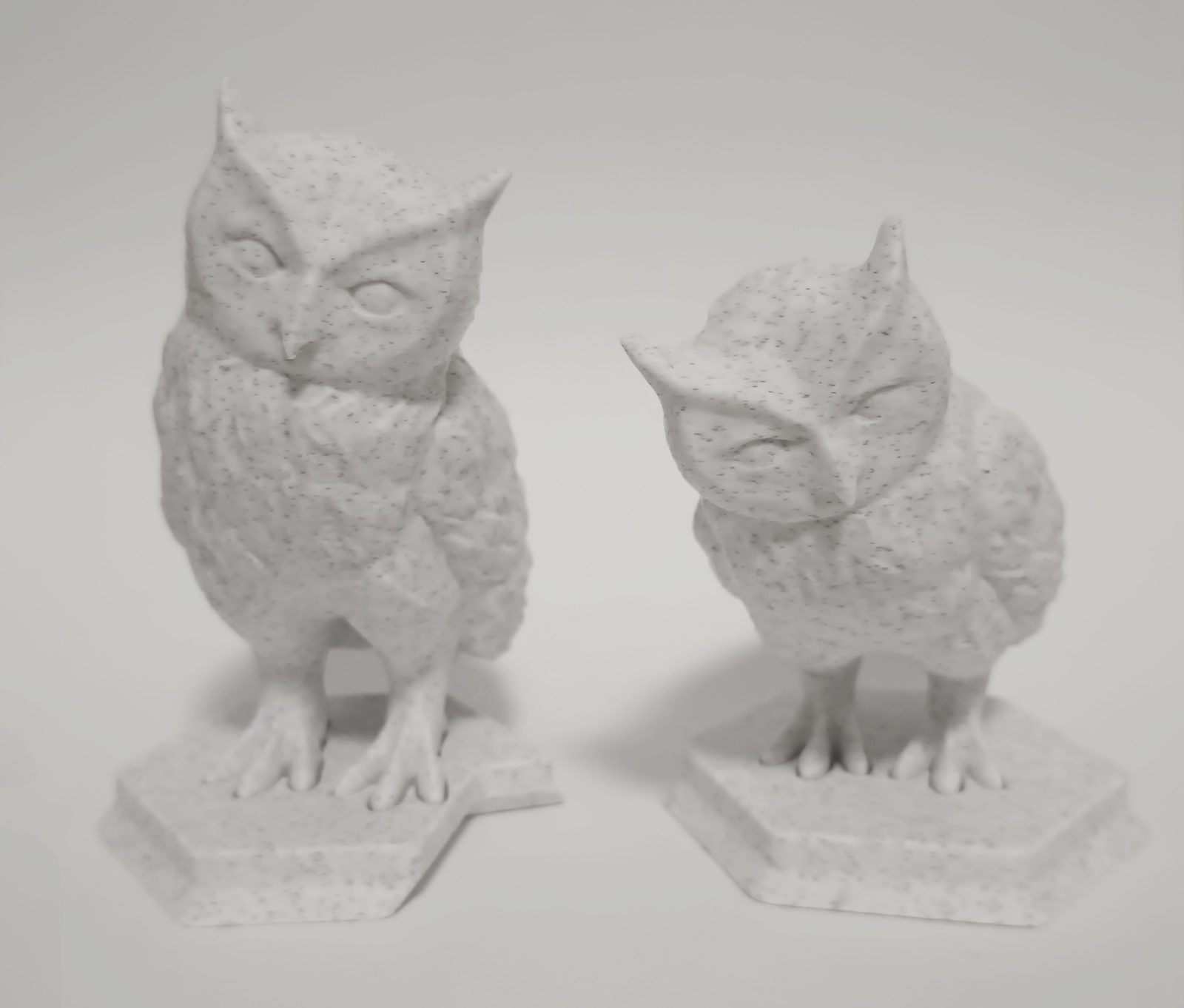 #21 Two Cute Owls — vue 5