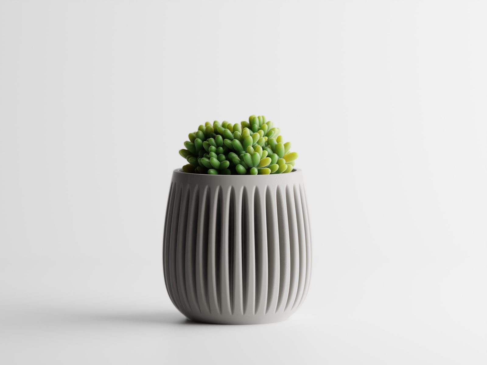 #31 Columna – Structured lines. Organic soul — vue 3