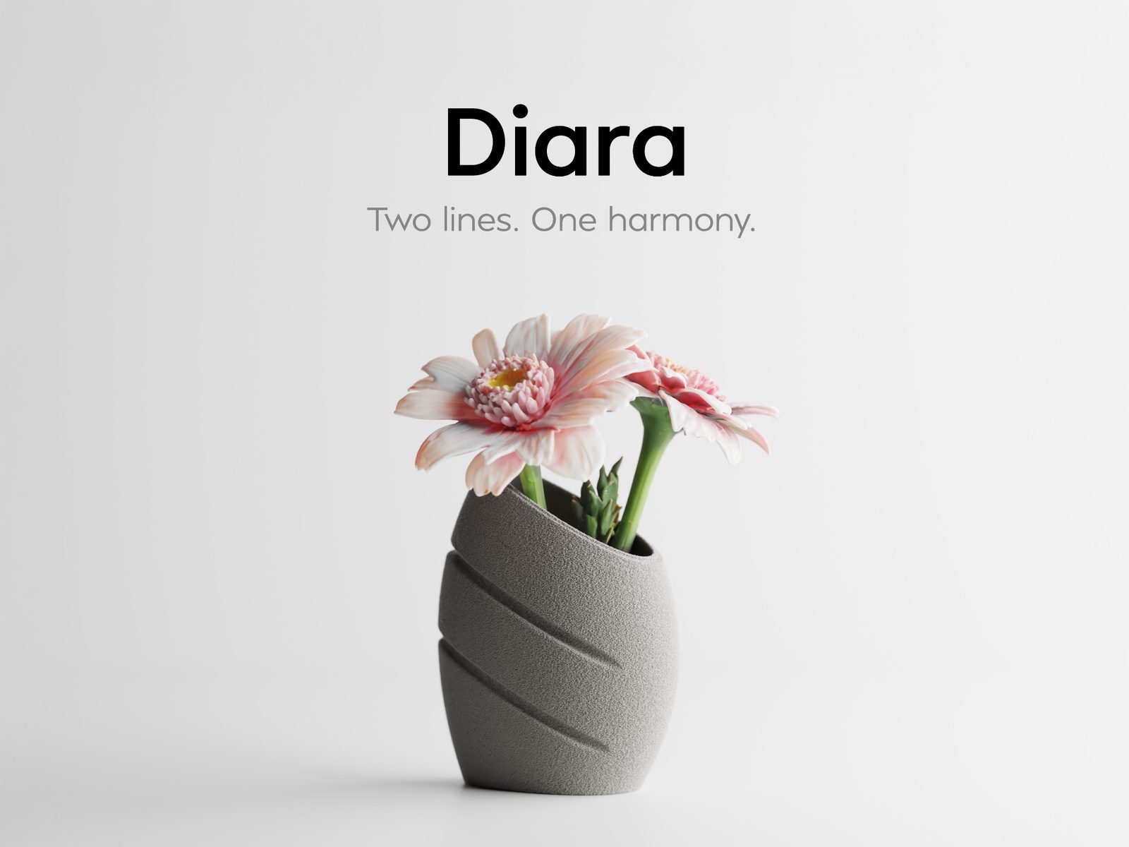 #32 Diara – Two lines. One harmony — vue 3