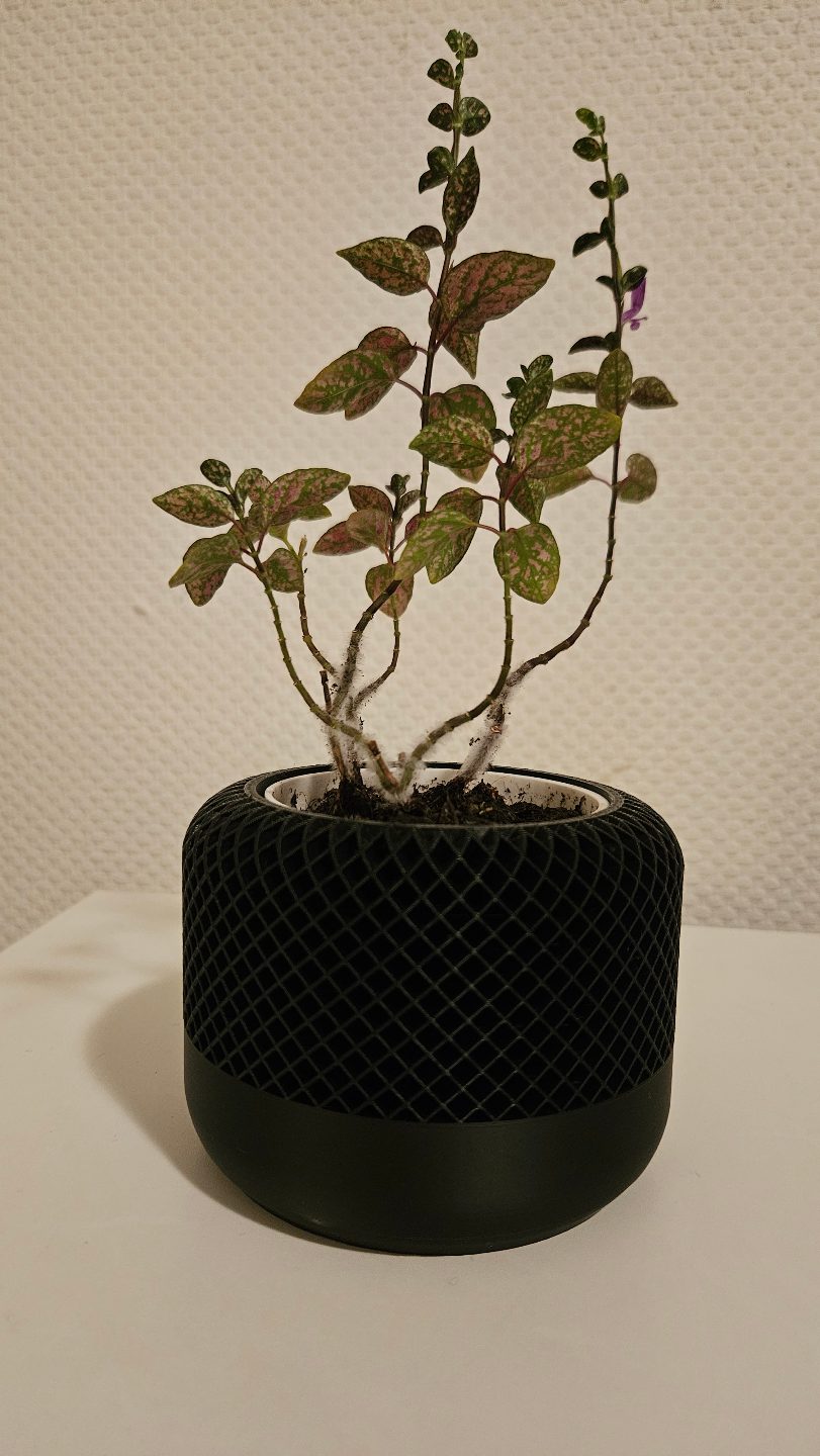 #35 Modern Apple Home Pod Style Plant Pot Vases — vue 8