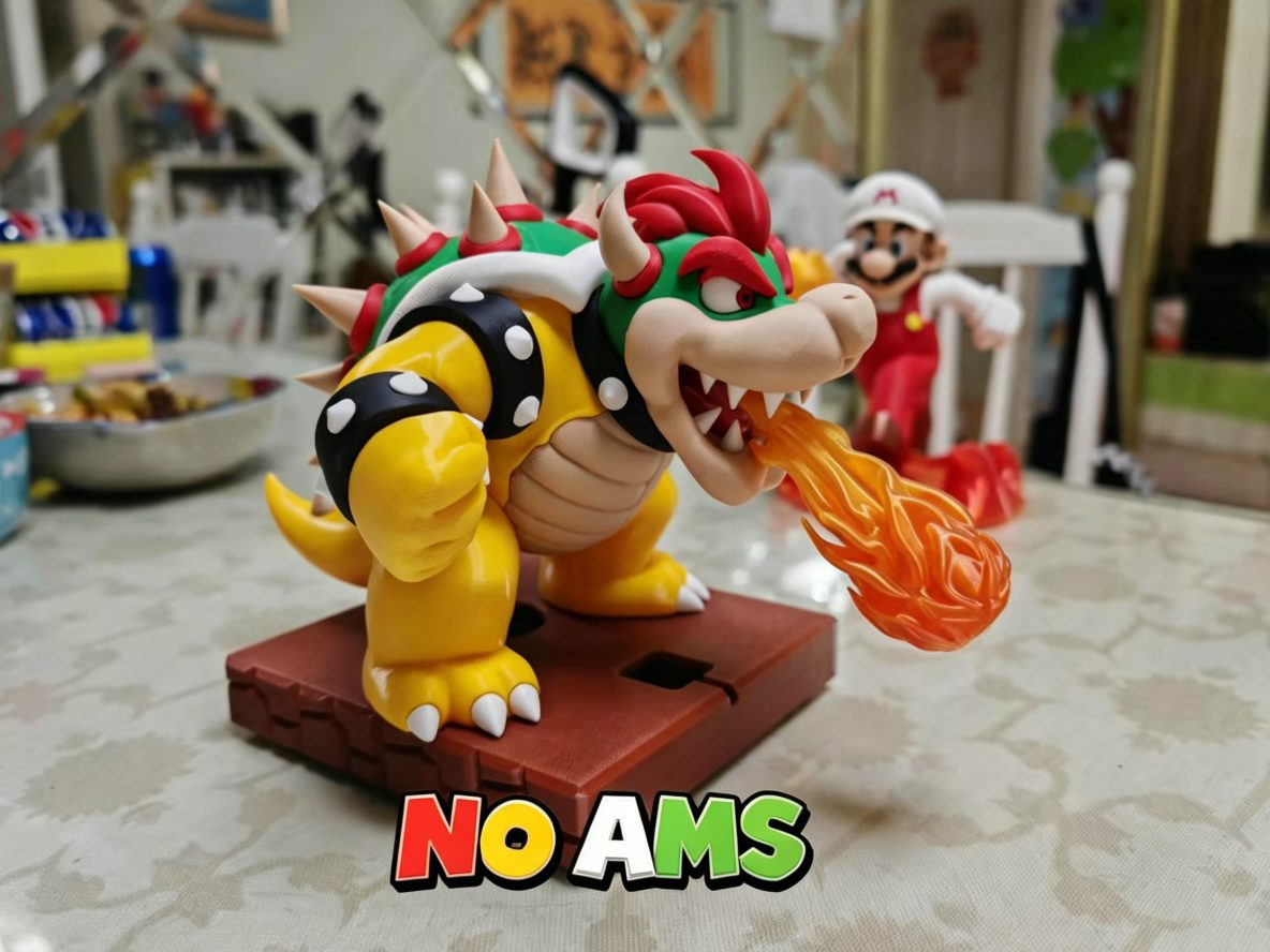 #41 Bowser_ AMS — vue 1