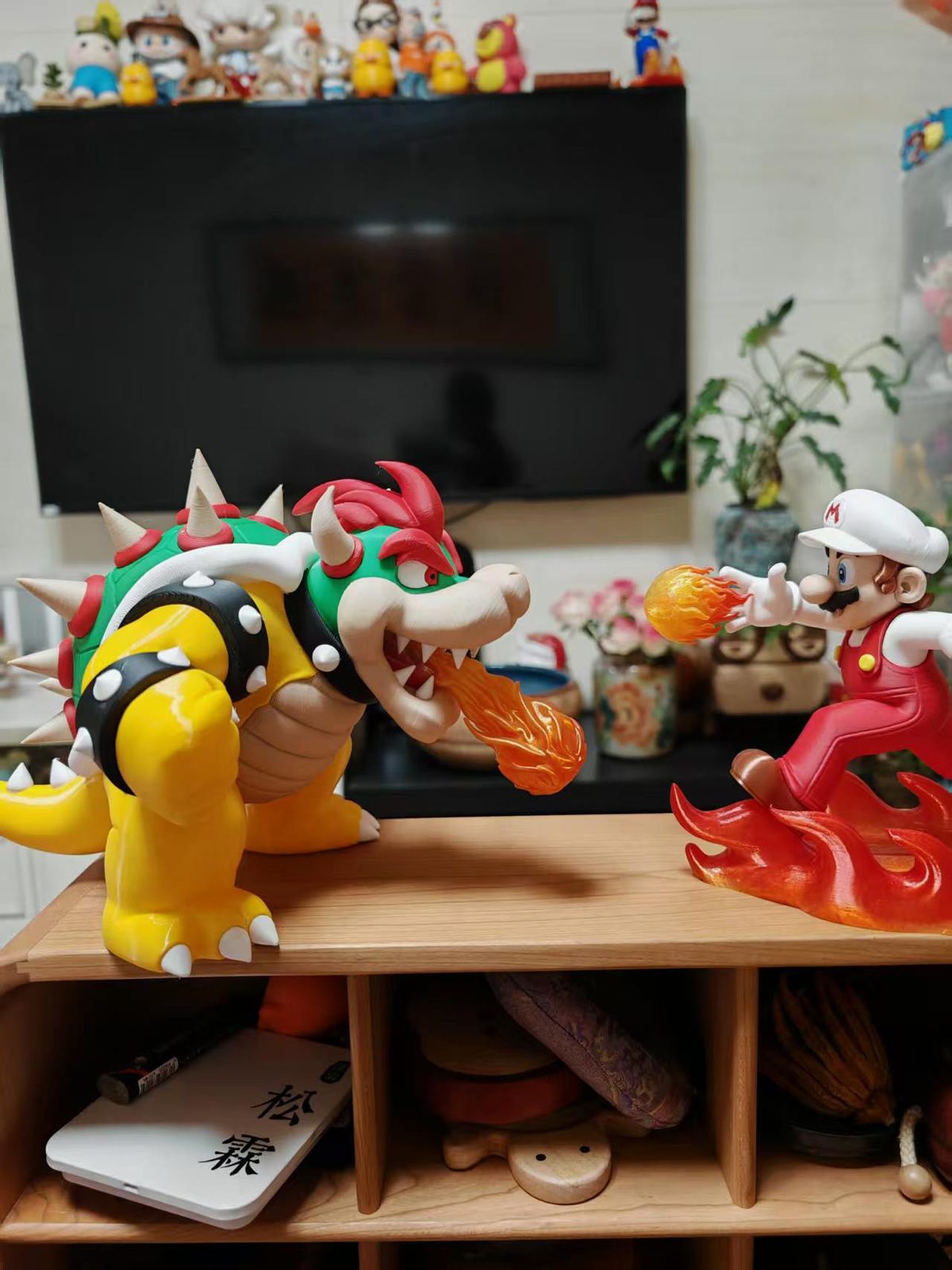 #41 Bowser_ AMS — vue 8