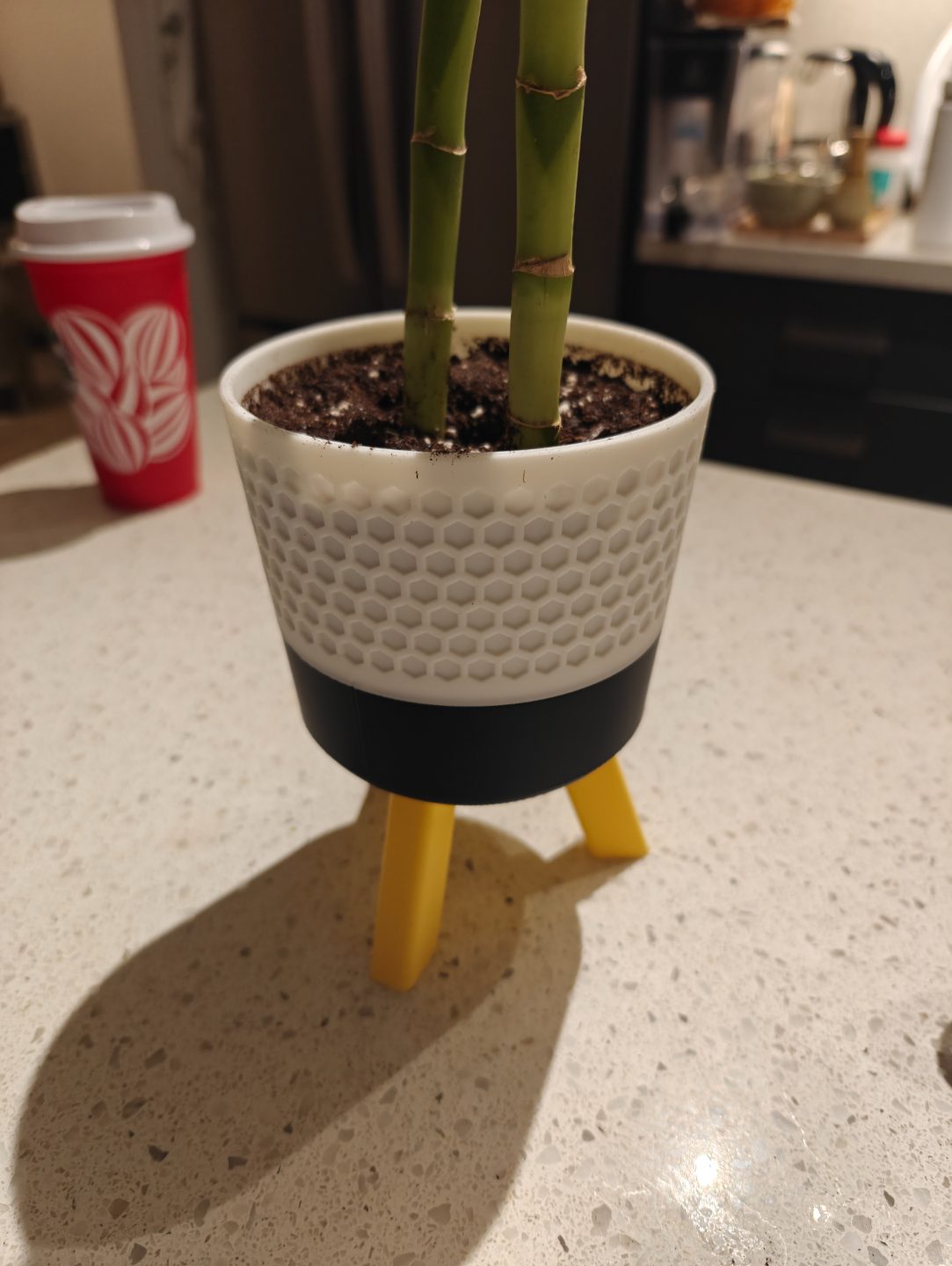#49 Modern Plant Pot with Legs — vue 5