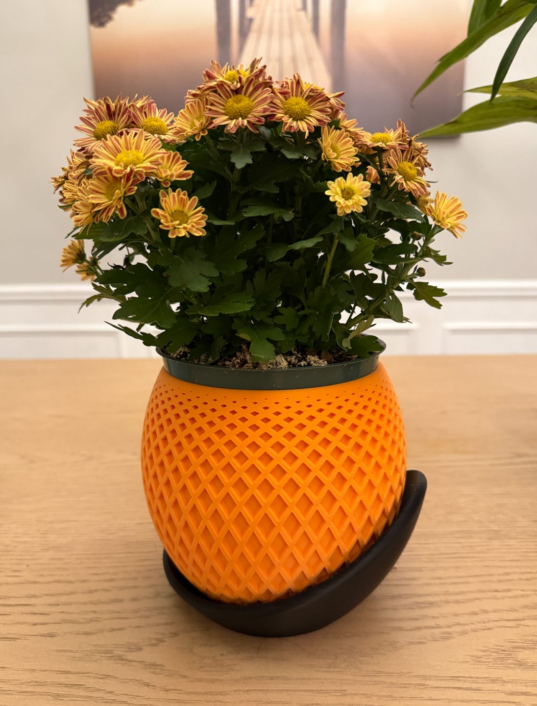 #58 Polygon Planter · Wrap Around Plate — vue 7