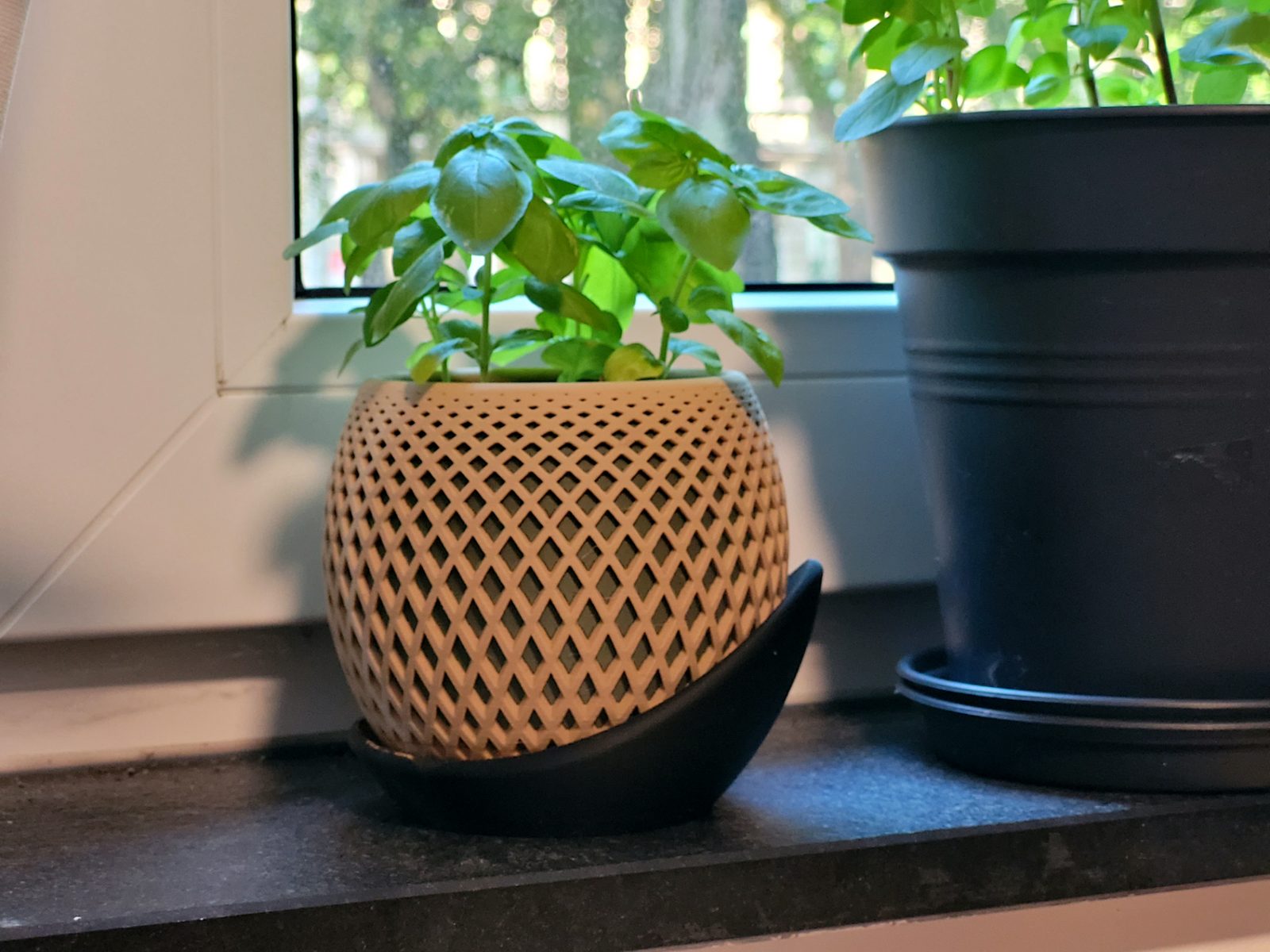 #58 Polygon Planter · Wrap Around Plate — vue 10