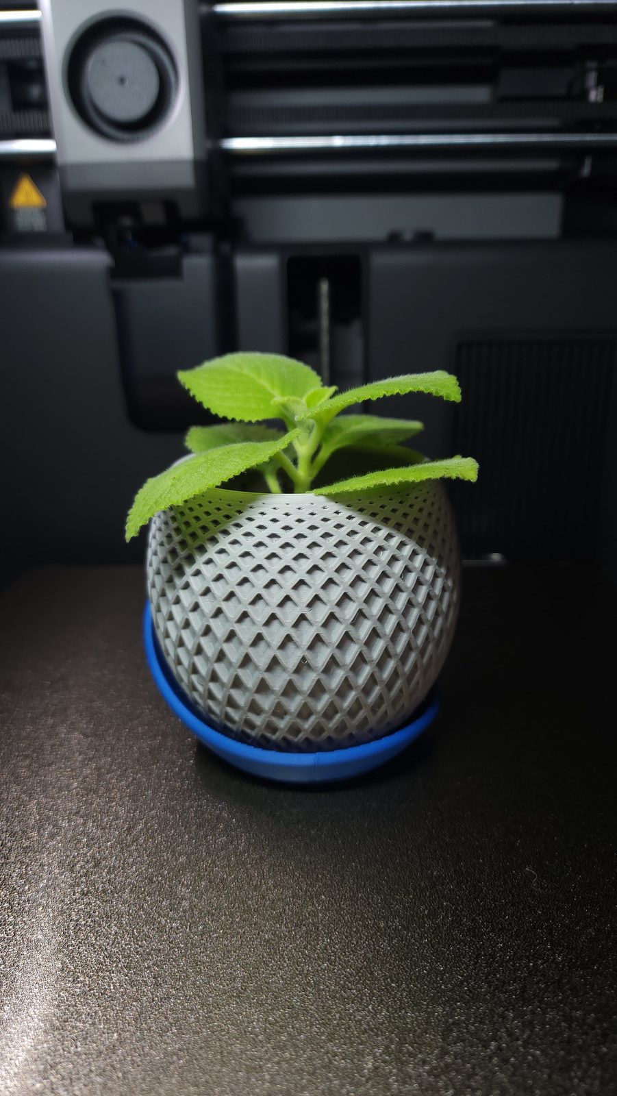 #58 Polygon Planter · Wrap Around Plate — vue 12