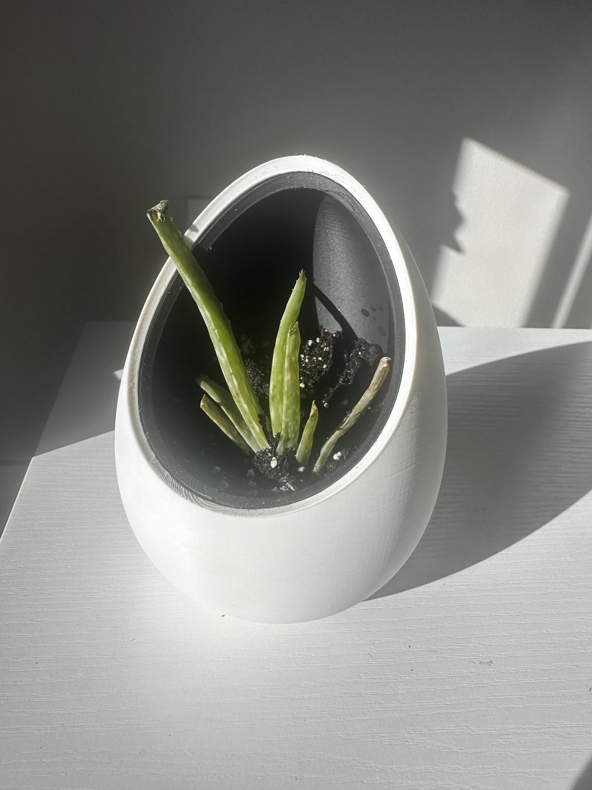 #65 Nest Planter — vue 4