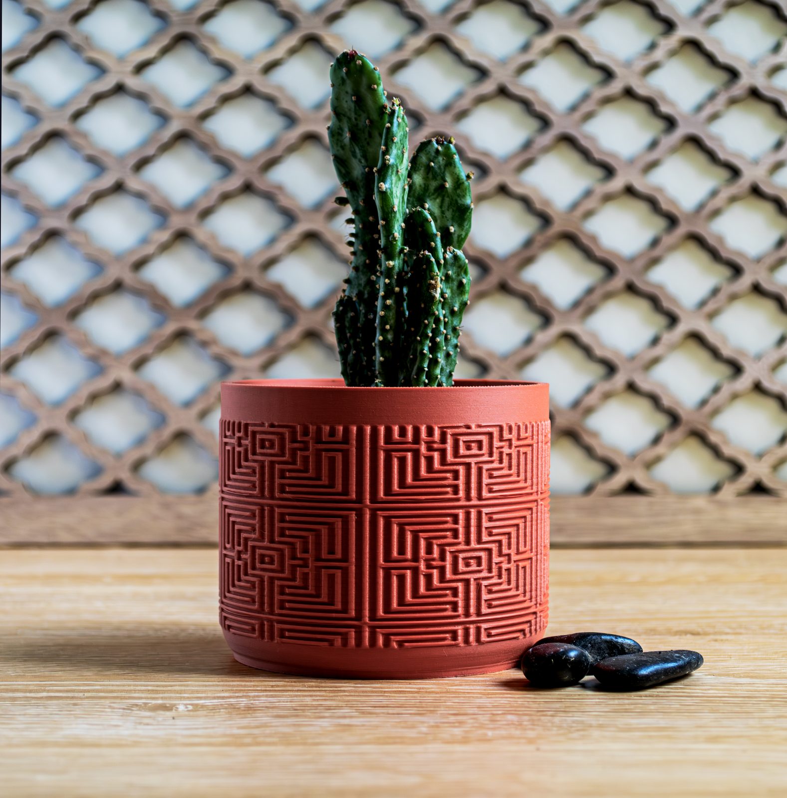 #66 Indoor Plant Pot - Home Decor — vue 3