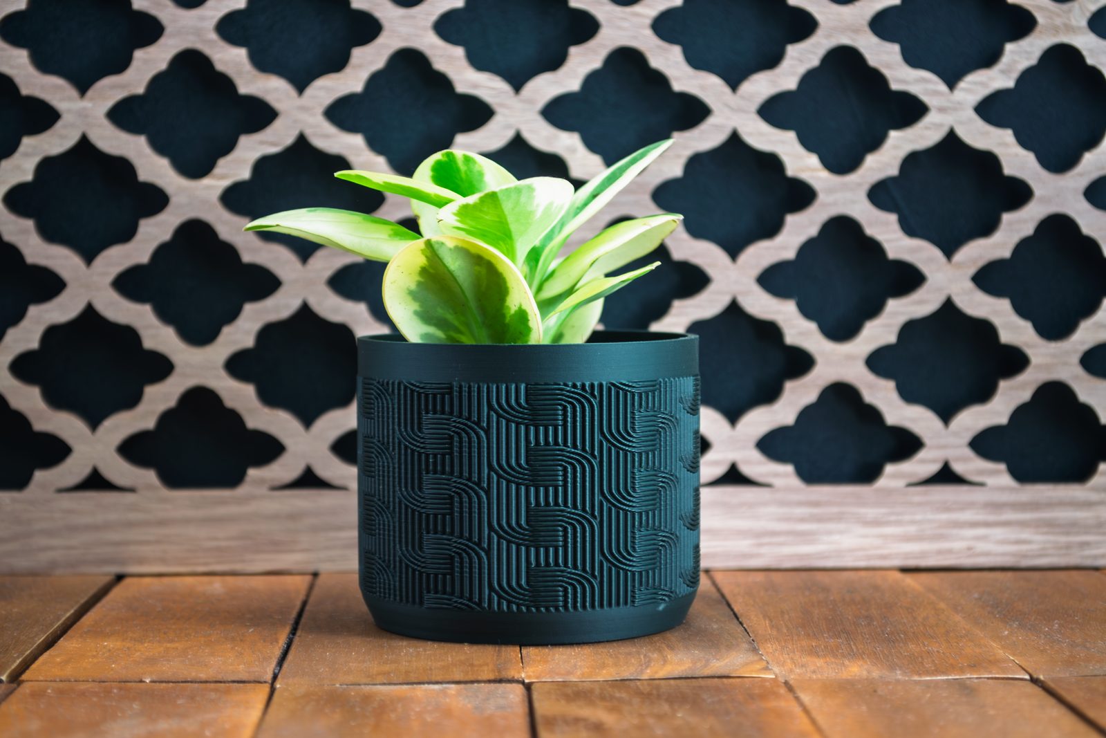 #68 Indoor Plant Pot — vue 3