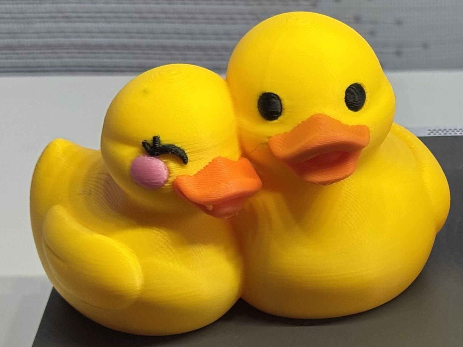 #85 Ducks cute couple — vue 4
