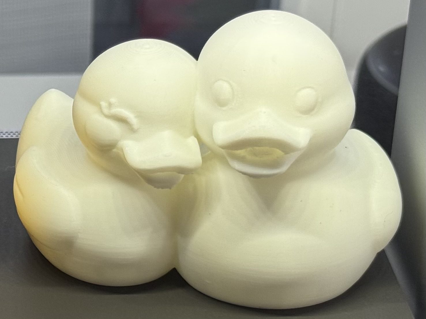 #85 Ducks cute couple — vue 5