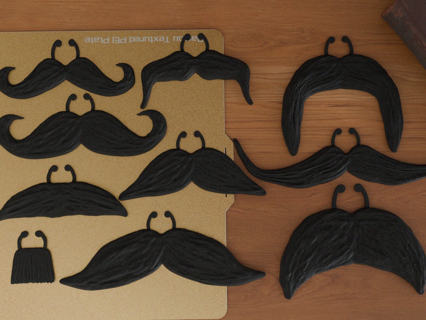 #97 Moustaches — vue 5