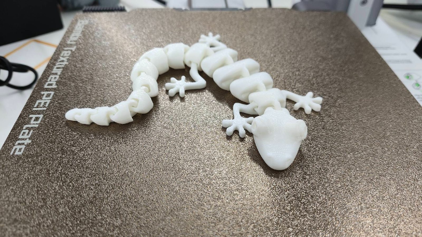 #131 Articulated Lizard v2 — vue 12