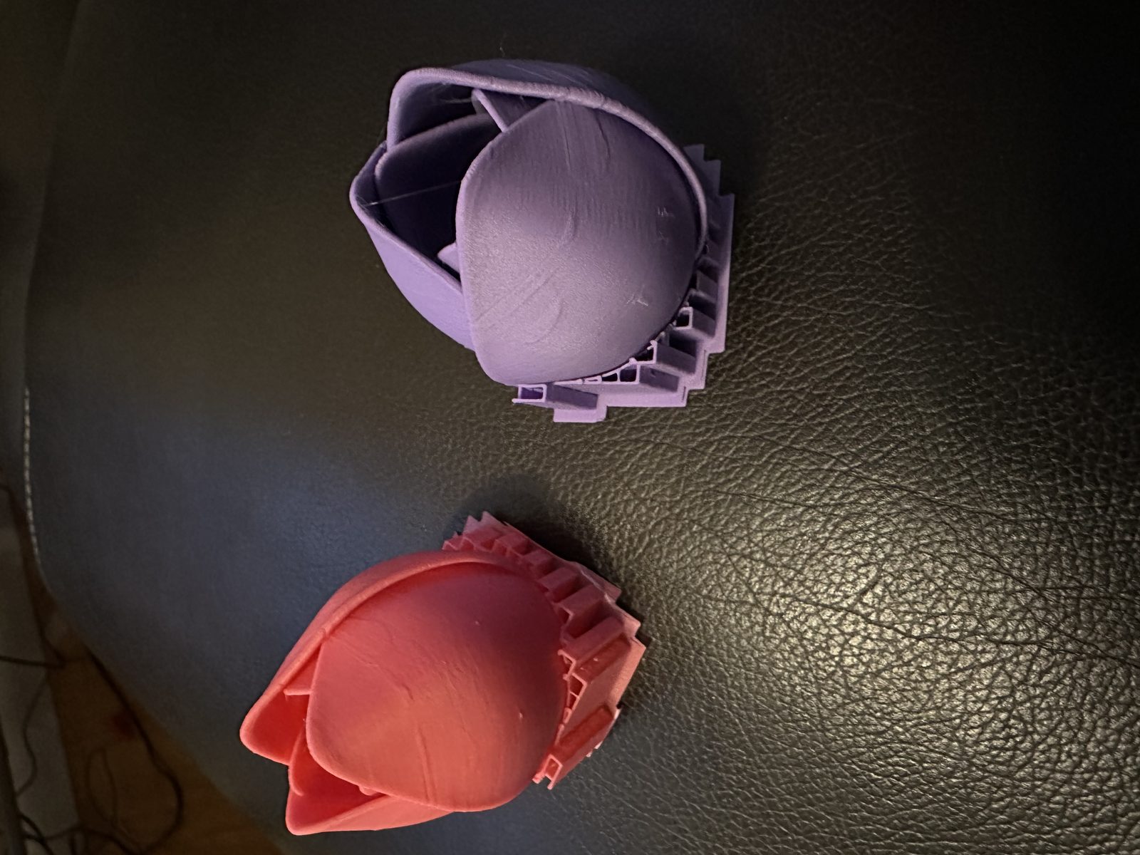 #134 The Tulip — vue 5