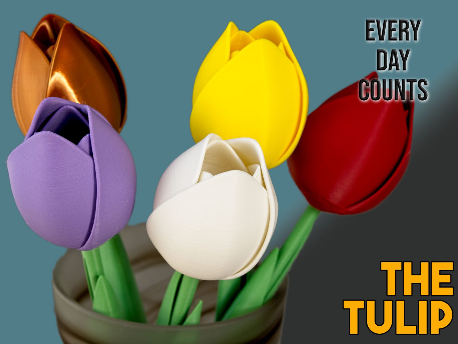 #134 The Tulip — vue 9