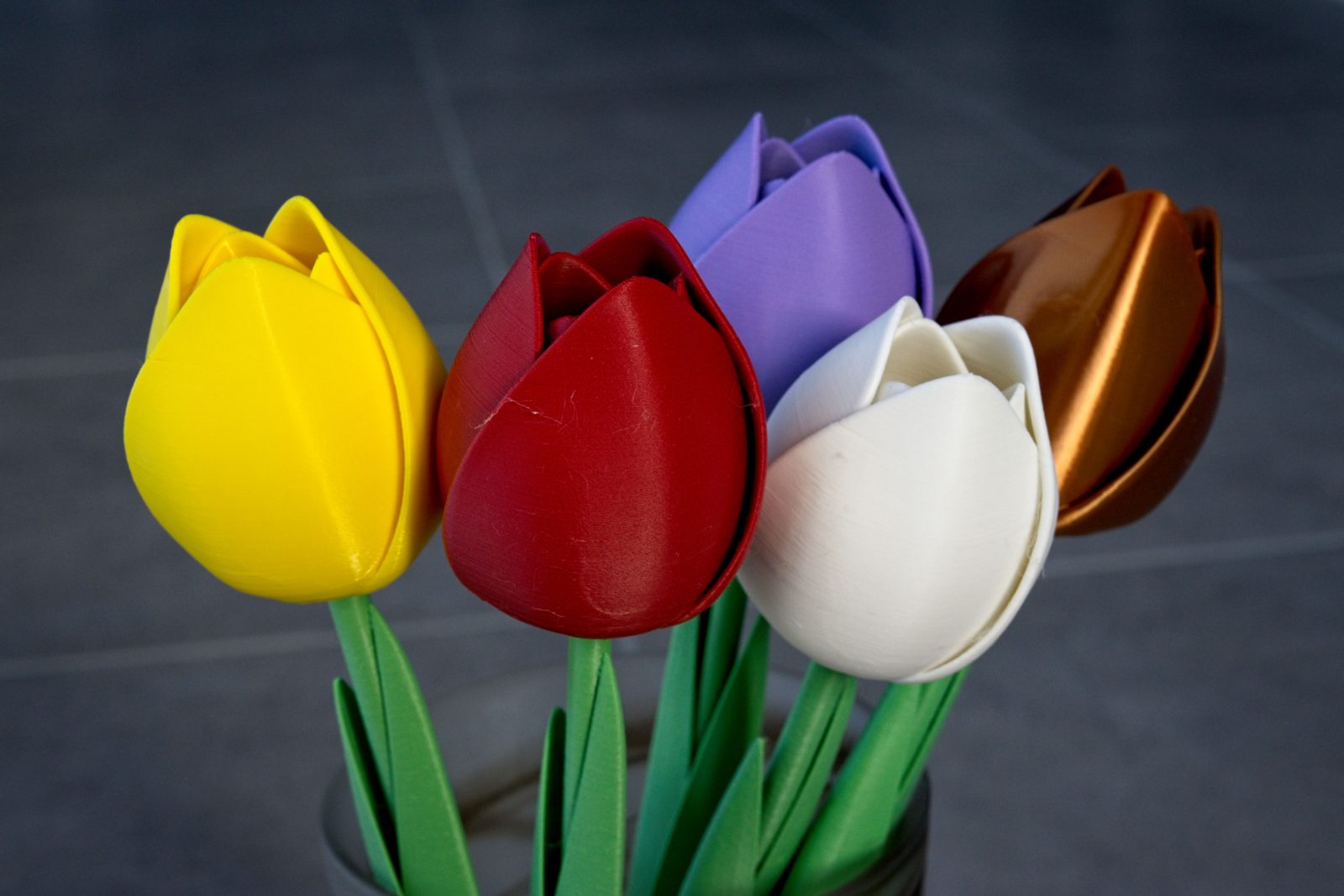 #134 The Tulip — vue 10