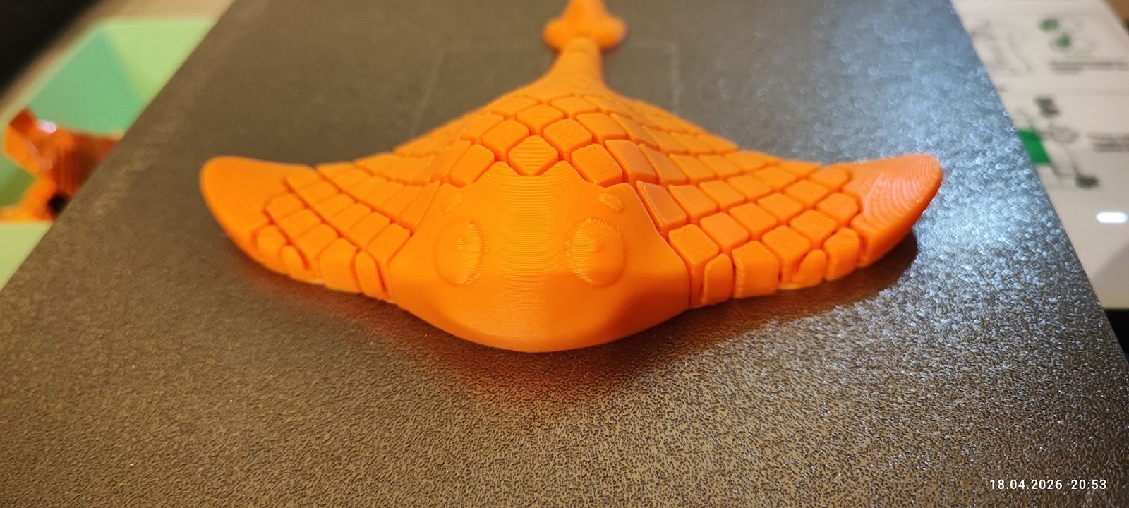 #154 Flexi Manta Ray Print in Place – NO SUPPORT — vue 3
