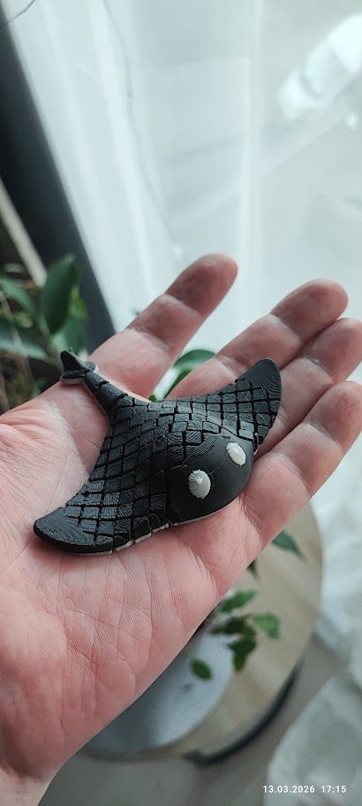 #154 Flexi Manta Ray Print in Place – NO SUPPORT — vue 9
