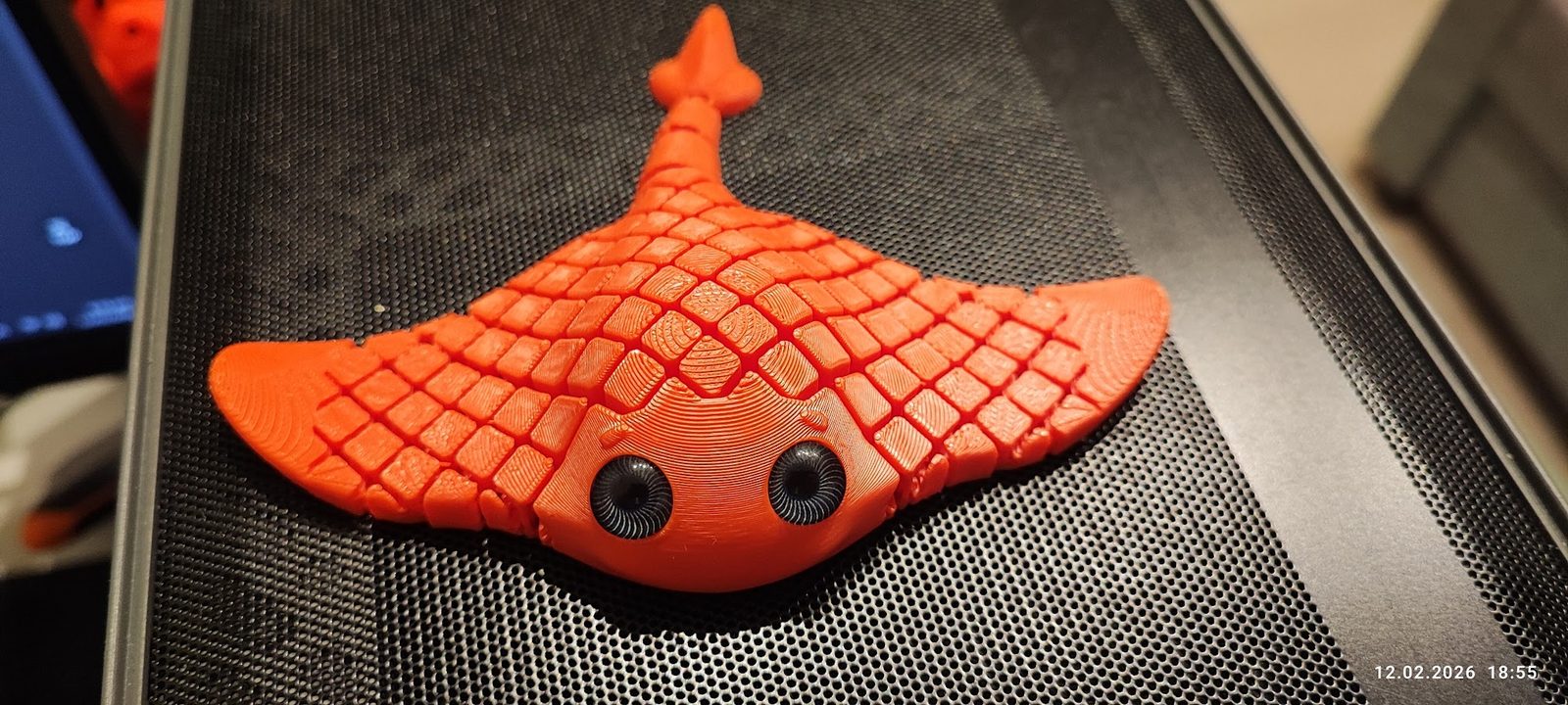#154 Flexi Manta Ray Print in Place – NO SUPPORT — vue 16