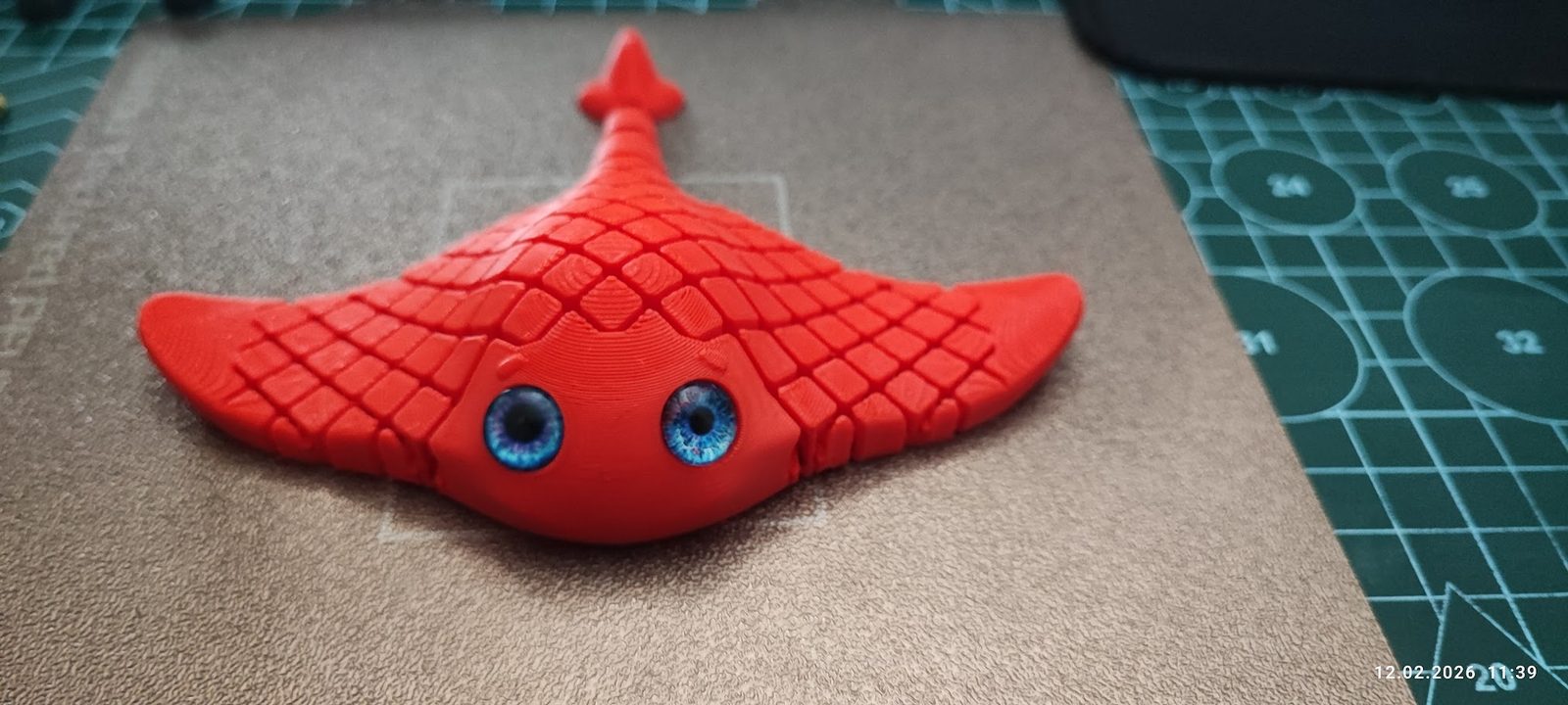 #154 Flexi Manta Ray Print in Place – NO SUPPORT — vue 19