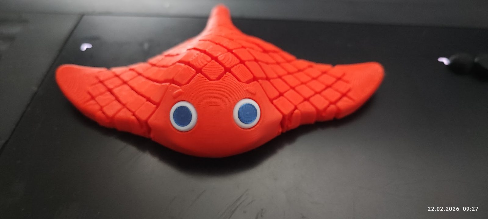 #154 Flexi Manta Ray Print in Place – NO SUPPORT — vue 21