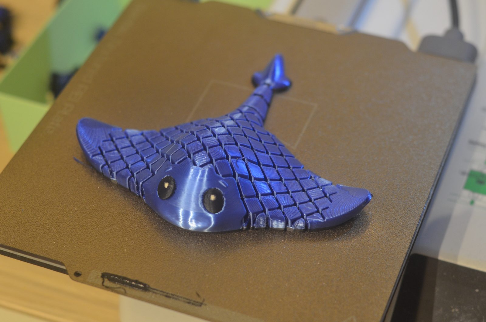 #154 Flexi Manta Ray Print in Place – NO SUPPORT — vue 23
