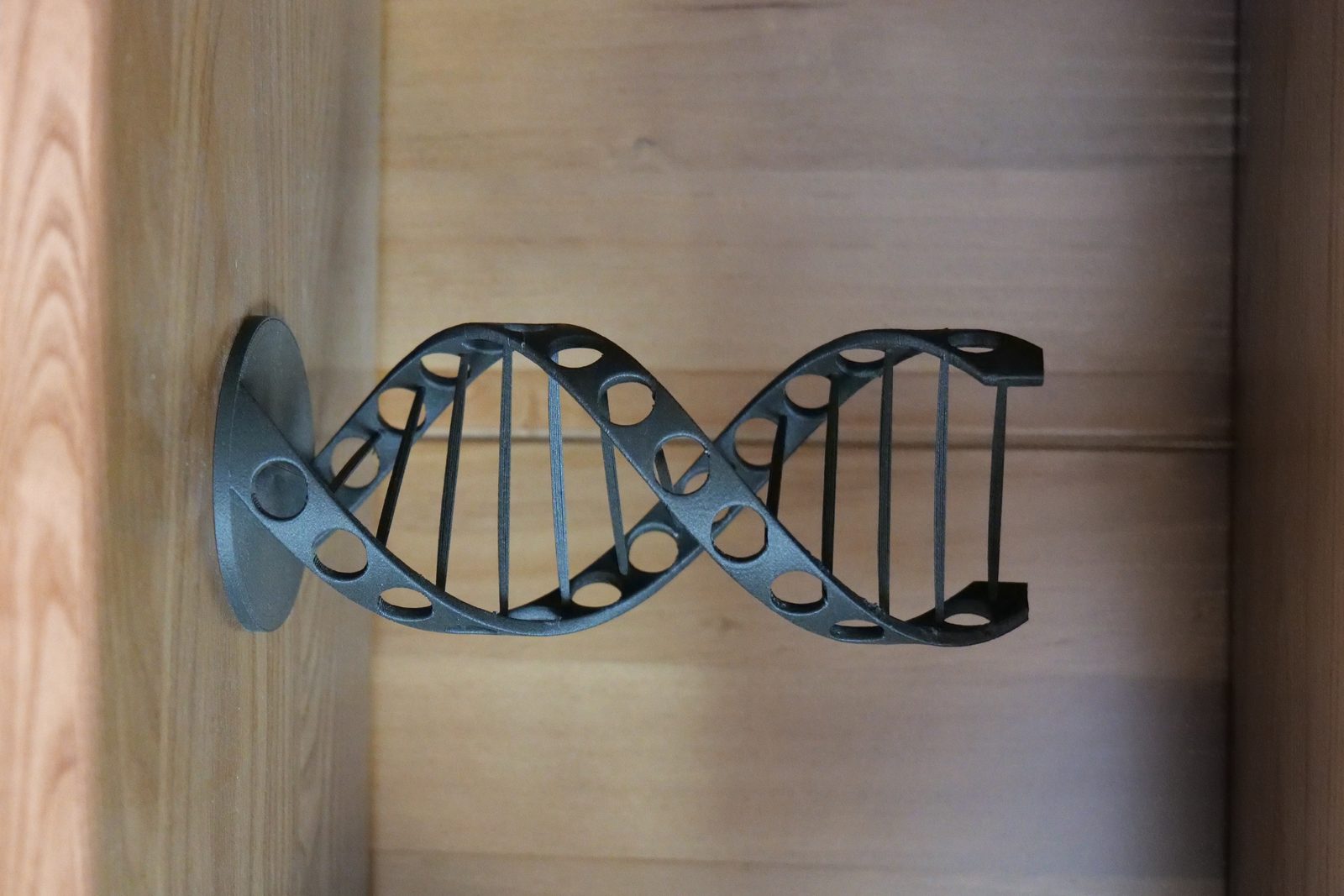 #193 DNA — vue 4