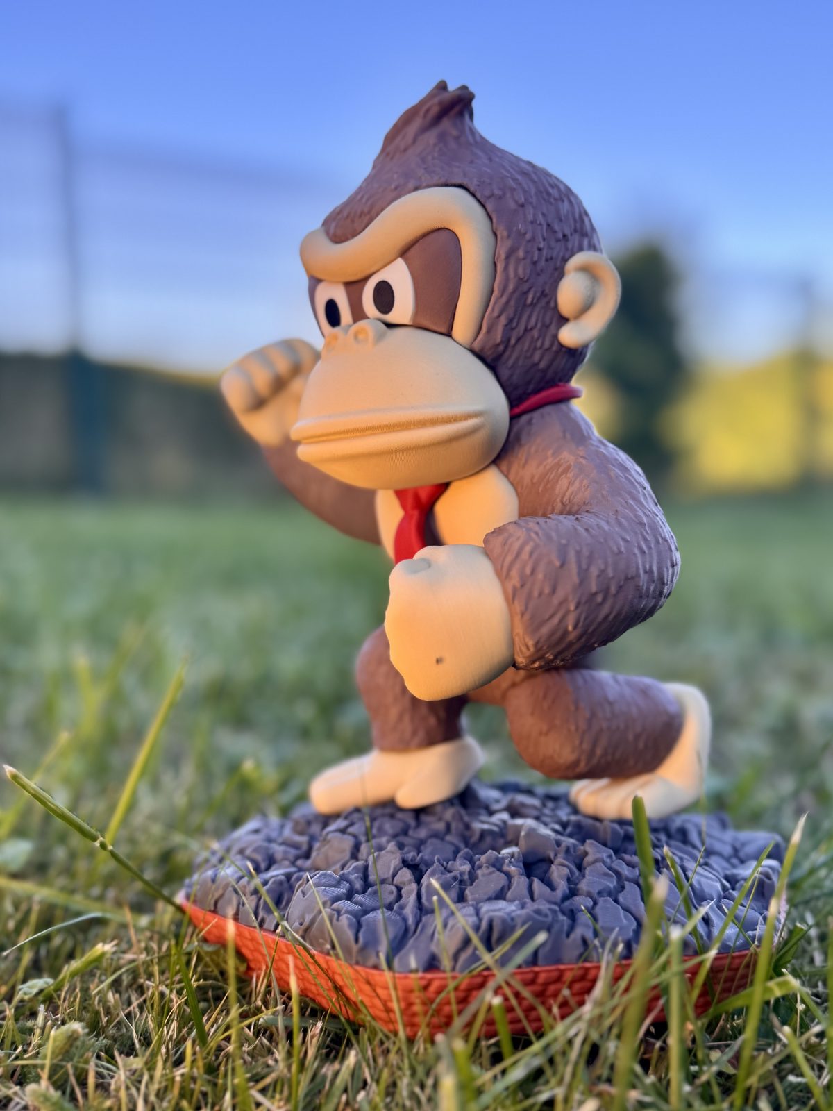 #230 D Kong — vue 6
