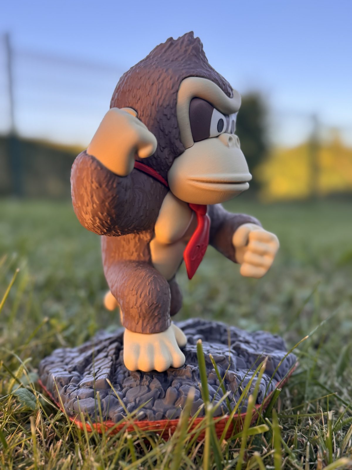 #230 D Kong — vue 7