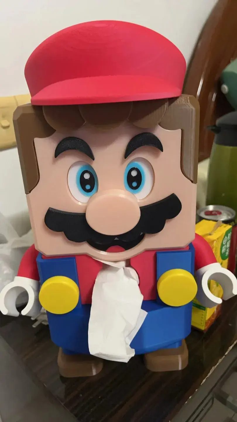 #232 MARIO TISSUE DISPENSER — vue 5