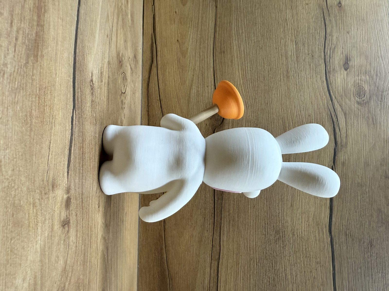 #307 Lapin Cretin — vue 5