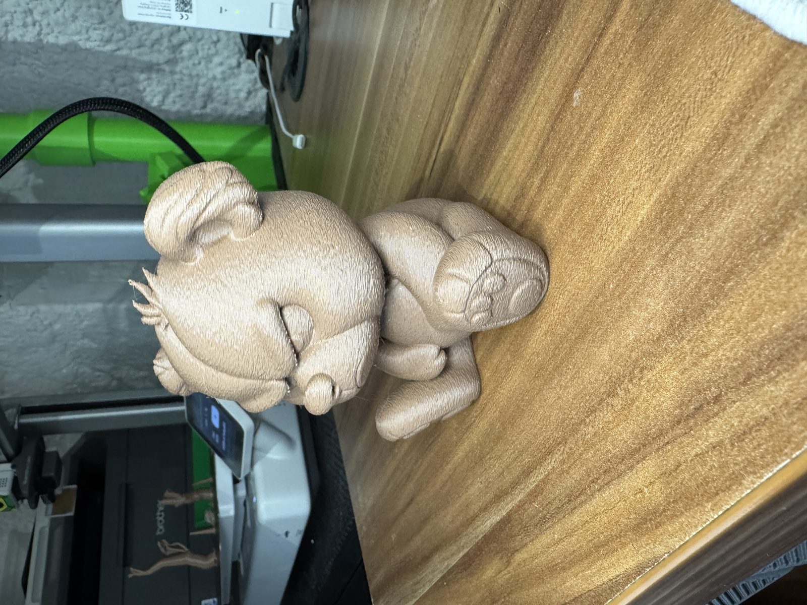 #338 Grimmiger Bär - Brummbär — vue 13
