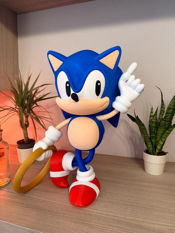 #356 Sonic - Classic — vue 5