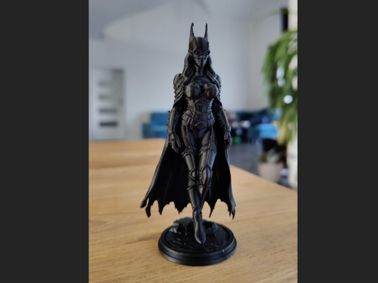 #362 Batgirl – Gotham Guardian Edition — vue 2