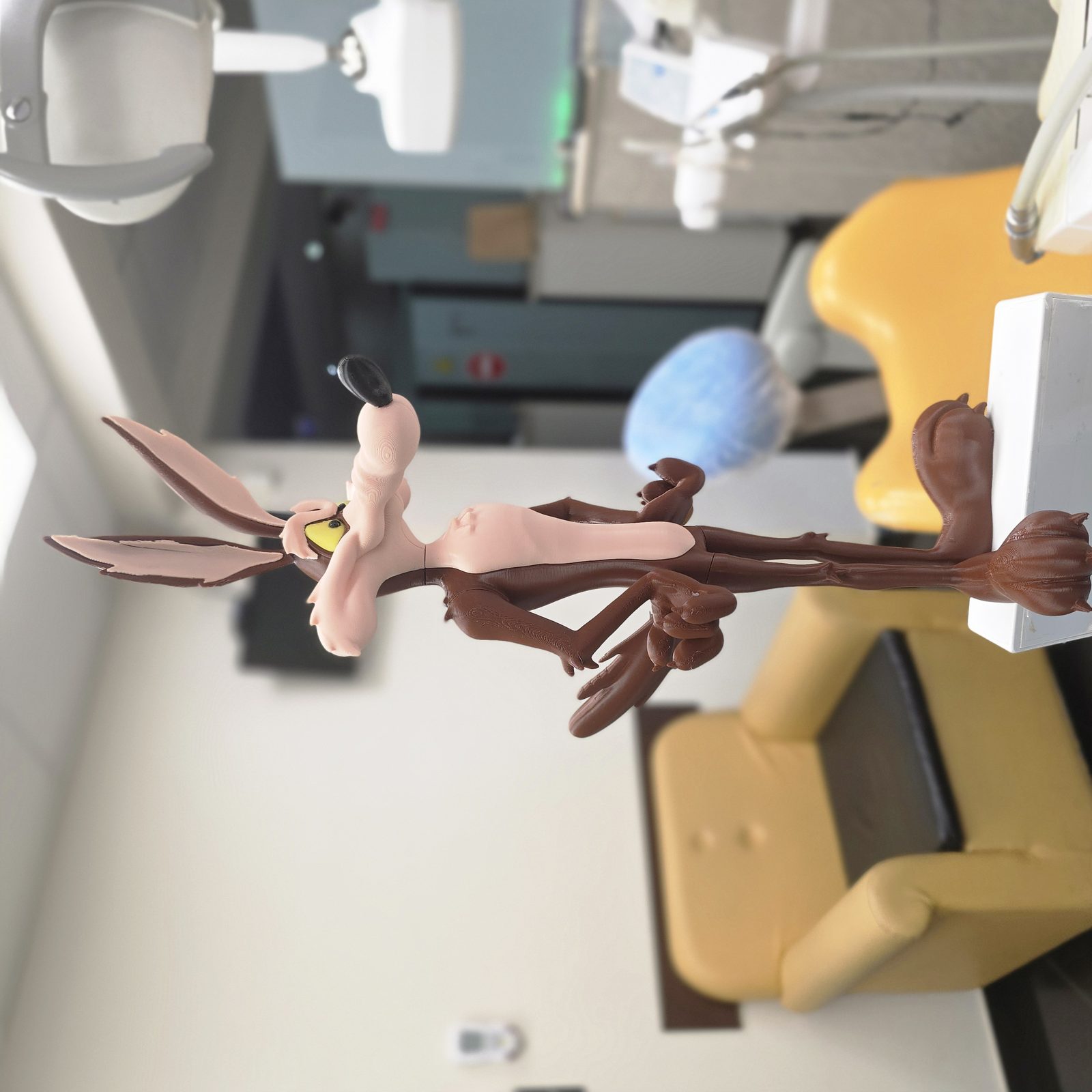 #447 Wile E. Coyote--Easy assembly — vue 13