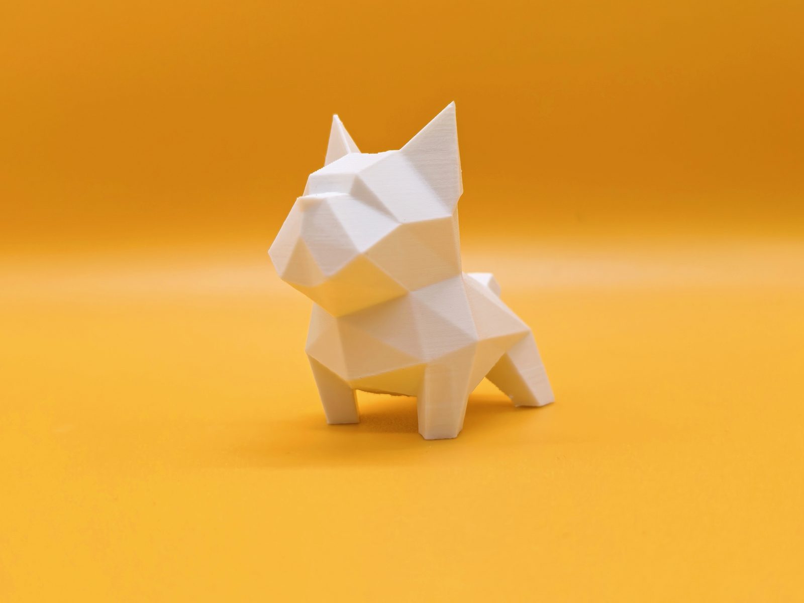 #449 Modèle — vue 1