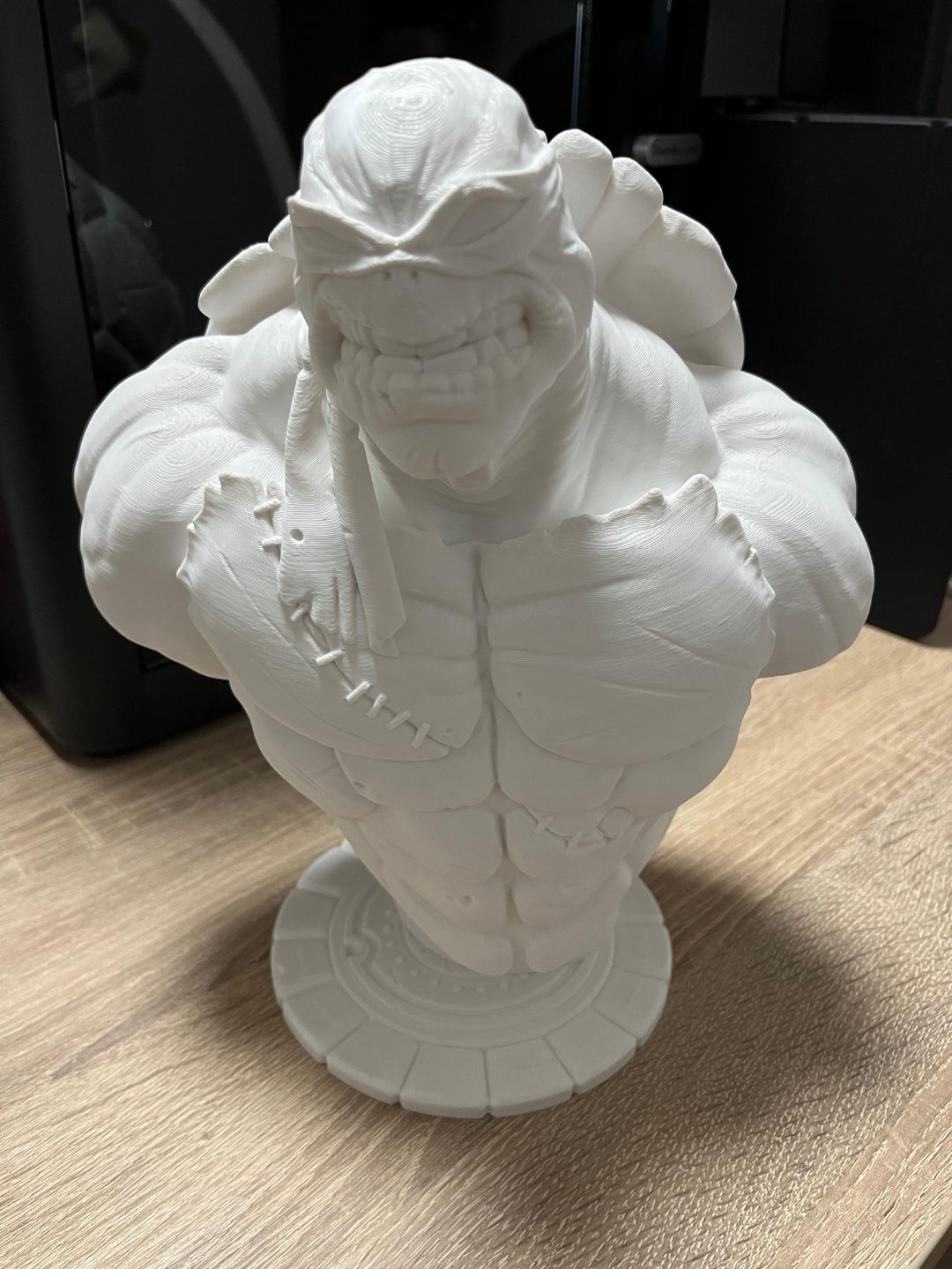 #487 TMNT bust (fan art) — vue 1