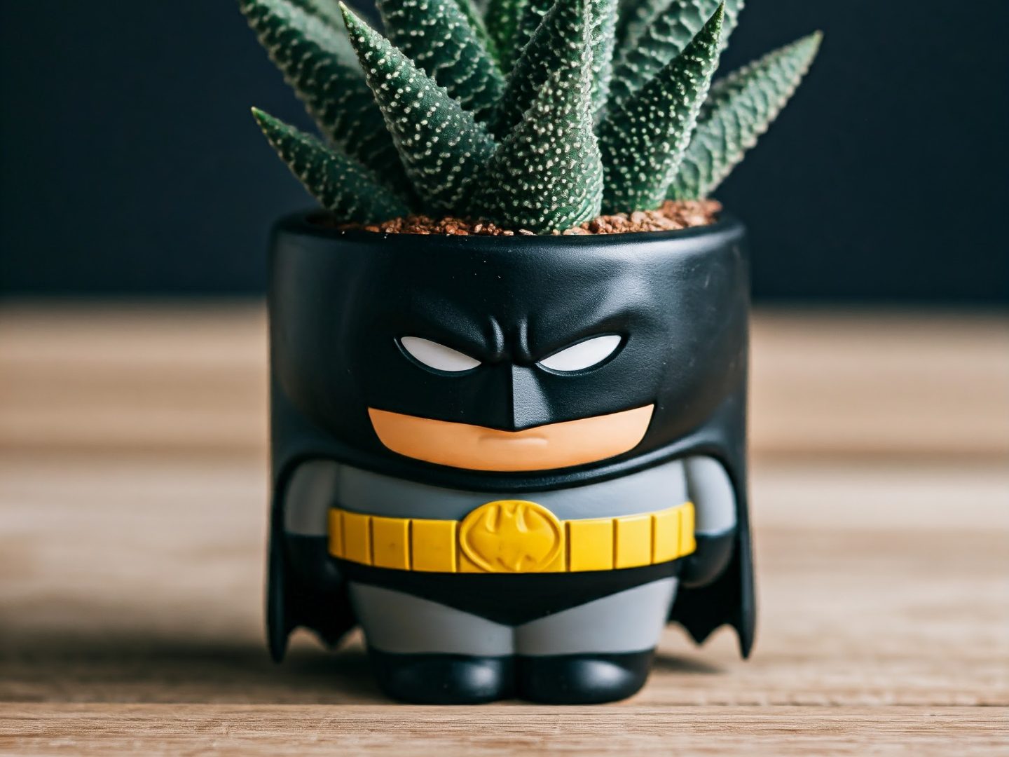#530 Batman Planter — vue 1