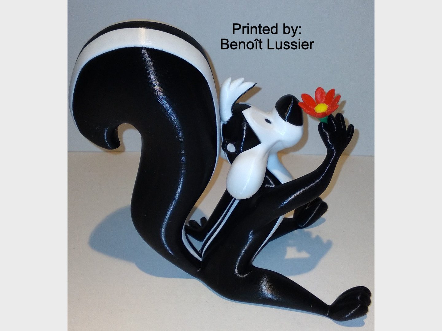 #556 Pepe Le Pew — vue 4