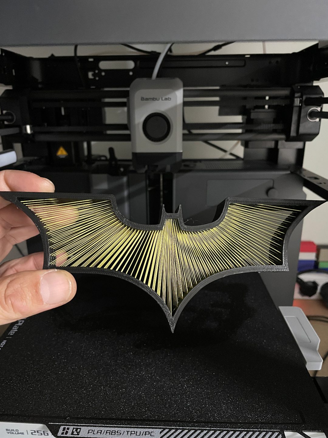 #564 BatString — vue 5